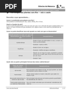 Raiz e Caule - Resumo