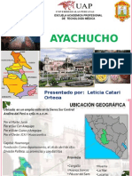 AYACUCHO EXPOsicion Leticita