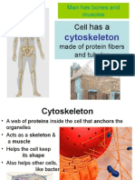 3.1. Cytoskeleton - TBM - Dono09