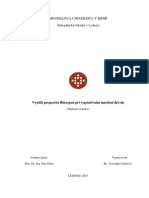 Rhizopon-zaverecna_prace.pdf