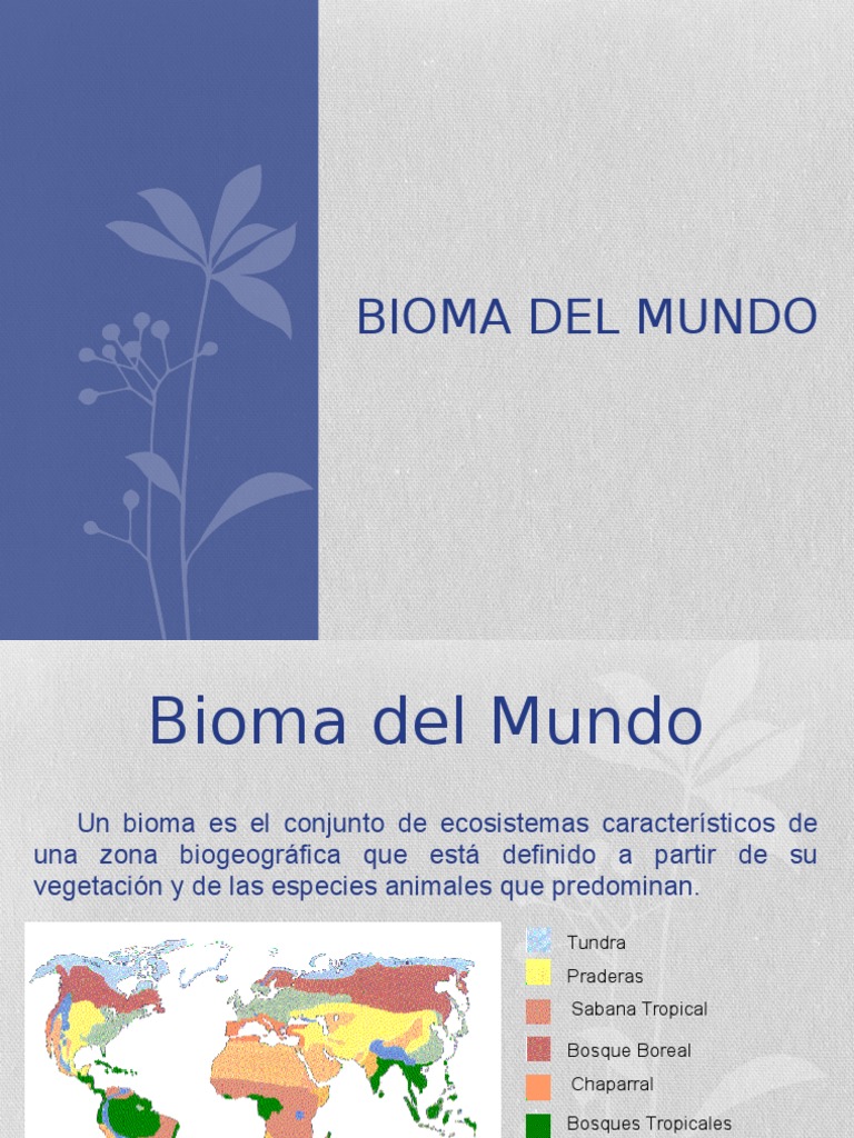 Biomas del Mundo: Tipos y Características | PDF | Ecología de sistemas ...