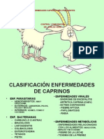 Enfermedades de Cabras 