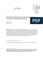 Iif Working Paper - What Drives Capital Flows To Emerging Markets