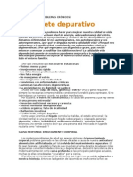 Cómo Resolver Problemas Crónicos - El Paquete Depurativo