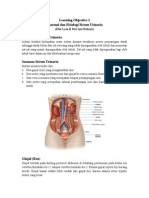Anatomi+dan+Fisiologi+Sistem+Kemih-2-1
