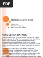 Download Copy of Mengenal Opt Padi by Tita Puspitasari SN269550028 doc pdf