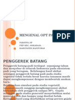 Mengenal Opt Padi