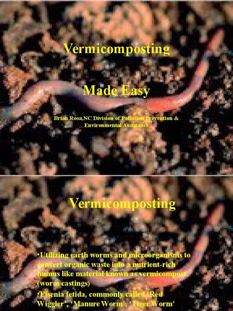 Easy Vermicomposting Guide | PDF | Economy And The Environment ...