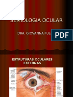 Semiologia ocular: exames e estruturas