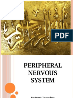 Peripheral Nervous System