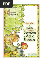 Construindo a Proposta de Sombra e Água