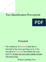 Tree Identification PP