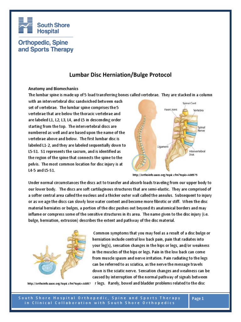 Lumbar Disc Herniation Protocol PDF Physical Therapy