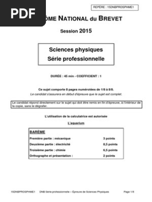 Epreuve De Physique Chimie Pour La Serie Professionnelle Du Brevet Cuivre Ph