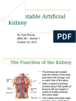 Implantable Artificial Kidney Research