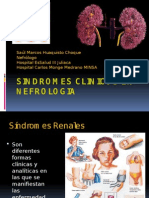 - Sindromes Clinicos en Nefrologia