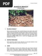 Download Ttg Budidaya Peternakan by chepimanca SN26957949 doc pdf