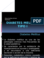 Diabetes Mellitus Tipo I