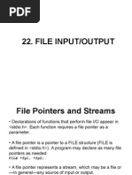 File Input/Output