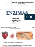 Enzimas