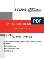 Procesos Biologicos Infancia