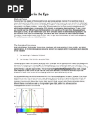 Color - Color in The Eye: Rods vs. Cones