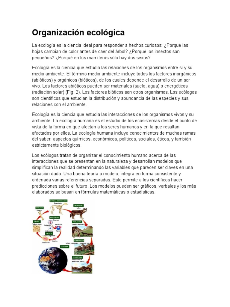 Importancia de la Organización Ecológica | PDF | Ecosistema | Población