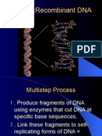 Cloning DNA Recombination Process