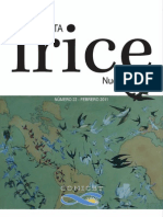 Revista IRICE