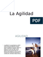 La Agilidad en El Futbol - 2003