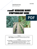 Guide to peanut herbicide injury symptoms