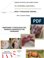 Anatomía y fisiología del aparato reproductor femenino