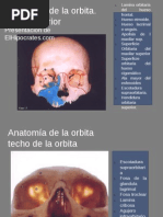 radiologia en oftalmologia