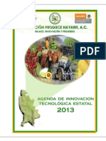 Agenda 2013 PDF