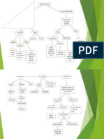 Mapa Conceptual