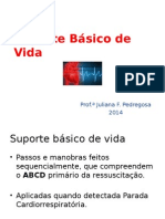 Suporte Básico A