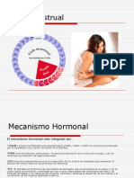 Ciclo Menstrual