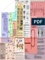 Biochemistry Pathways Chart