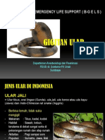 Gigitan Ular Kupang AP