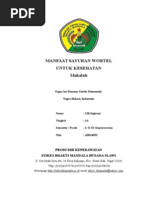 Makalah Wortel