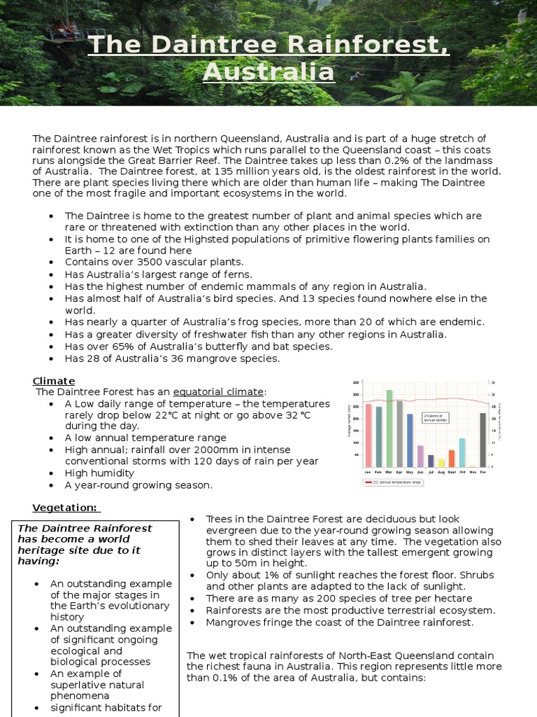 Tropical sandals case study 08 picture