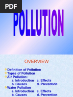 Pollution Ppt