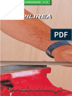 pilirea.pdf