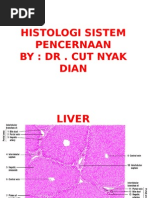 Download Histologi Sistem Pencernaan  by Indra Mulya SN269673157 doc pdf