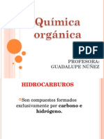 Introduccion Nomenclatura Alcanos