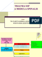 Trauma SSP Cedera Medula Spinalis: TRI PUSPITA NIRMALA (022010101029) ROSITA DEWI (022010101086)