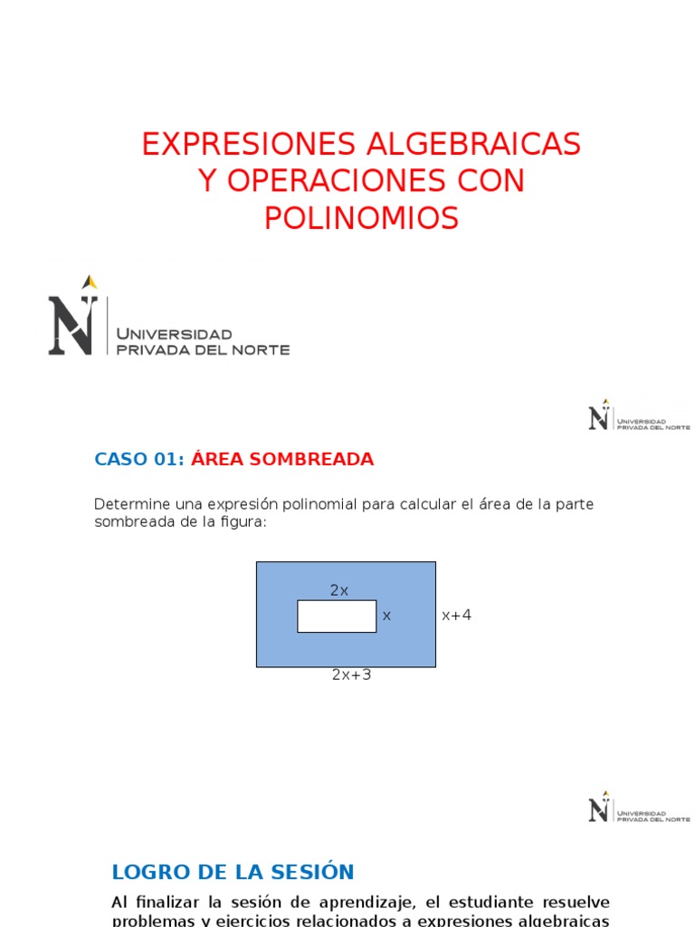 Expresiones Algebraicas y Operaciones Con Polinomios | PDF
