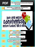 ENSAYO DE CONVIVENCIA
