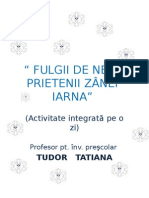 Fulgii de Nea Prietenii Zanei Iarna