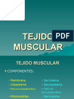 Tejido Muscular 